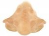 Picture of Grimas Dragon Face Nose
