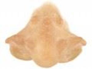 Picture of Grimas Dragon Face Nose