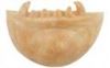 Picture of Grimas - Werewolf Chin