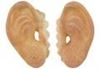 Picture of Grimas - Devil Ears