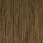 17 Lt Ash Brown