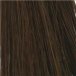 Chestnut (8R)