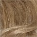 Golden Glaze (263R)