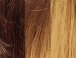 Caramel Kiss (27-234TR)