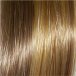 Ginger Mist (14-26R)