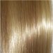 Sunlit Beige (223R)